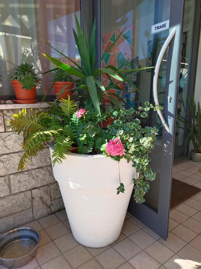 Hotel Goldene Rose Rimini Bagian luar foto